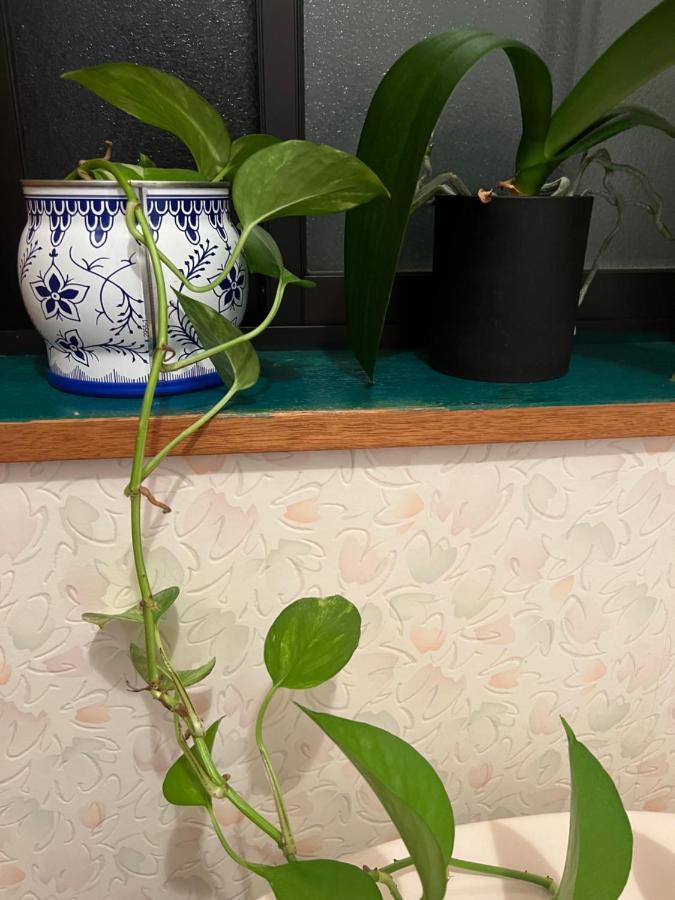 Eishinan 栄進庵 ξενώνας Φούτζι Εξωτερικό φωτογραφία